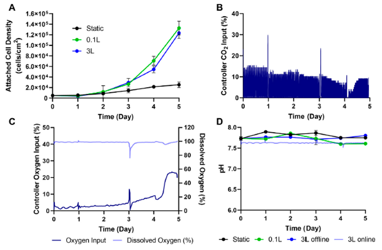 eCB-MSCs在3L垂直轮生物反应器中的扩增，与0.1L垂直轮生物反应器和静态培养的对比(生物工艺B)